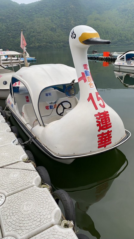 花蓮鯉魚潭腳踏船、獨木舟、SUP體驗【蓮華號】 花蓮好好玩