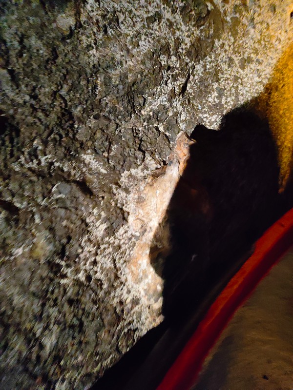 【豐濱好玩】月洞休息區｜豐濱必去的鐘乳石、蝙蝠一家親洞穴 花蓮好好玩