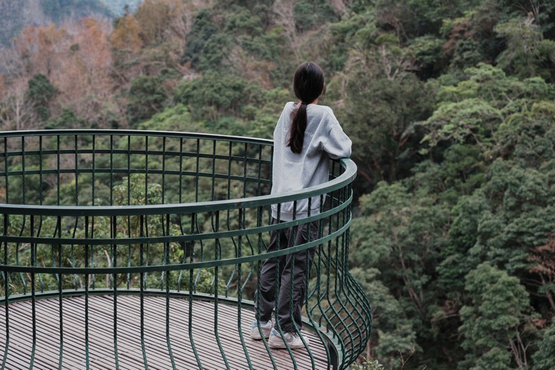 【卓溪好玩】瓦拉米步道｜壯闊山風吊橋、森林步道與日治遺跡，親子步道體驗 花蓮好好玩